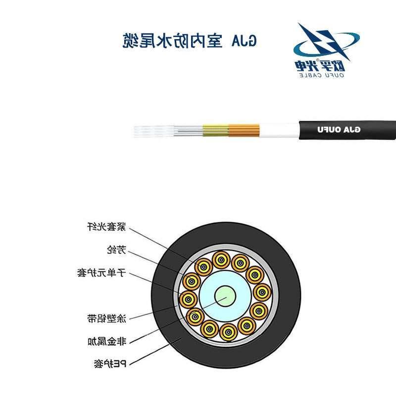 锦州市GJA防水尾缆