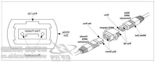 MPO连接器的简要结构图