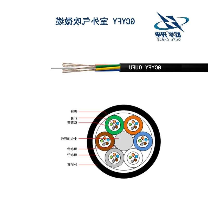 西双版纳傣族自治州GCYFY光缆